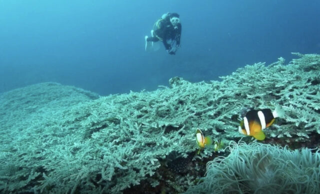 久米島町を満喫！久米島の見どころ・アクセス・観光モデルコースを徹底ガイド