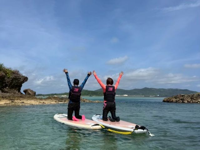 ウミガメ　SUP　シュノーケリング