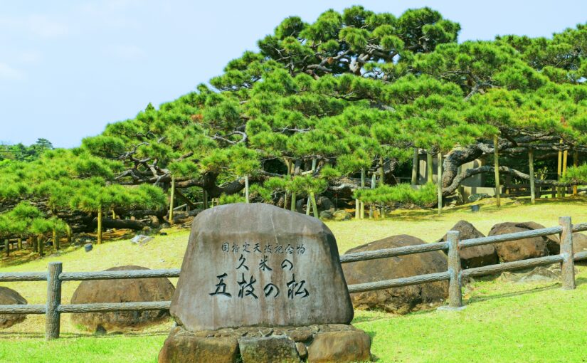 五枝の松