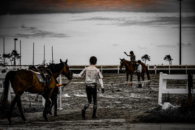 馬と一緒に久米島の大自然を満喫！久米島で体験できる乗馬体験の魅力とは？