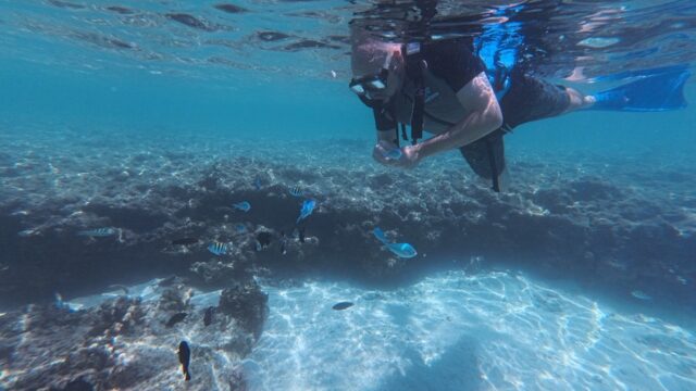 はての浜ツアー、シュノーケリング
