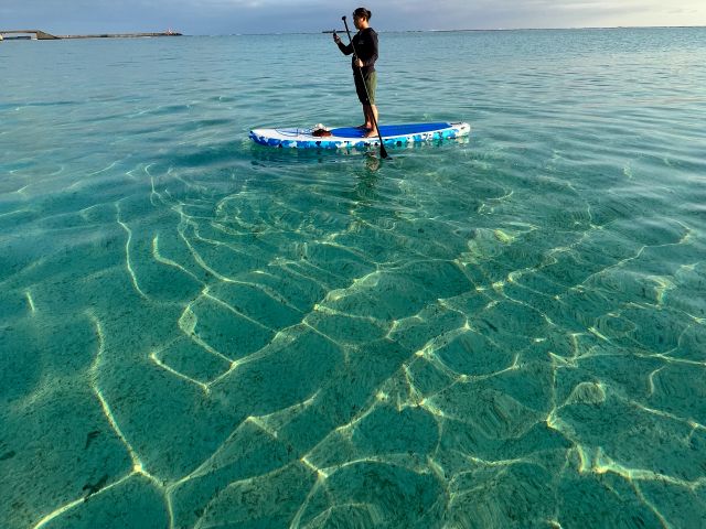 【久米島/約1時間】東洋一美しい海でSUP体験☆ウミガメと出会えるかも《初心者大歓迎・写真無料》（No.832）