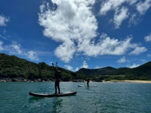 シュノーケリングで楽しむ久米島の海中世界