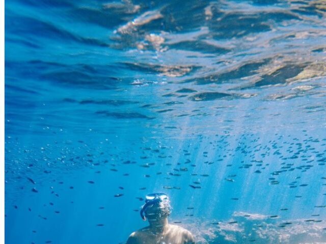 シュノーケリングで久米島の海中の美しさを満喫