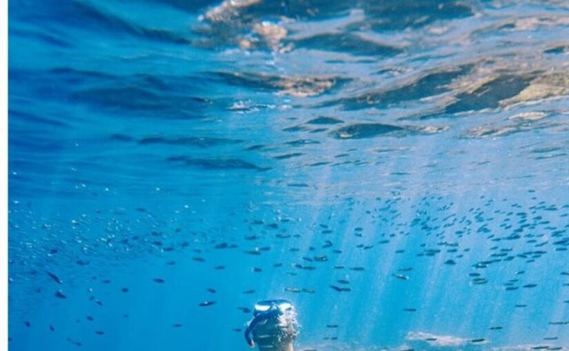 シュノーケリングで久米島の海中の美しさを満喫