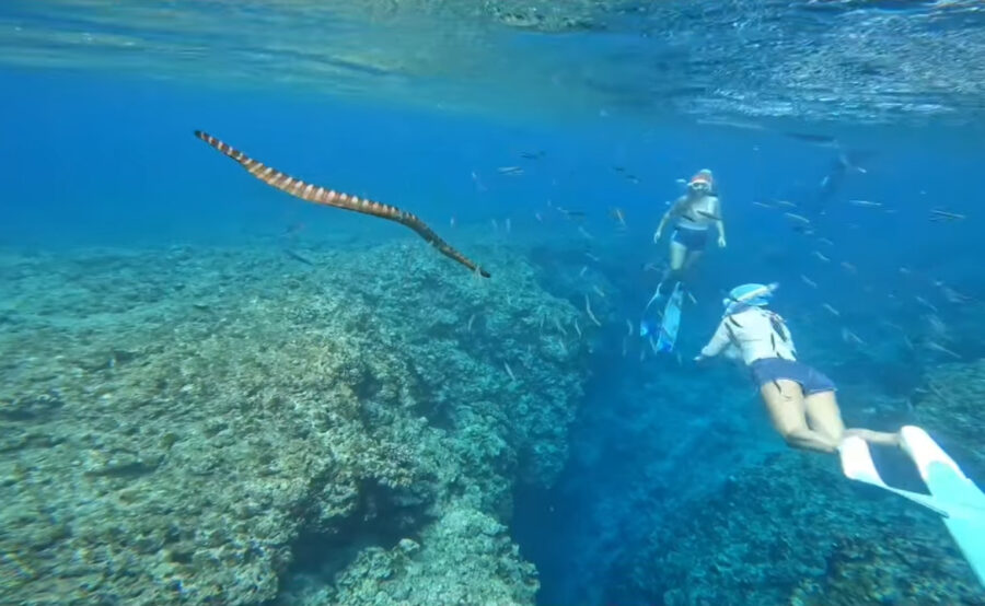 【久米島/4時間】贅沢貸切プラン☆大人気はての浜で絶景シュノーケリング《GoPro写真データプレゼント・1歳から参加OK・手ぶらOK》柔軟対応◎自分たちのペースで♪（No.837）