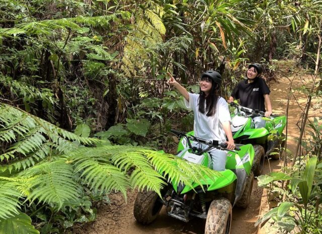 バギー　やんばる　北部