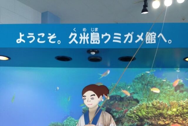 久米島ウミガメ館の楽しみ方完全ガイド！ウミガメふれあい&学びの旅