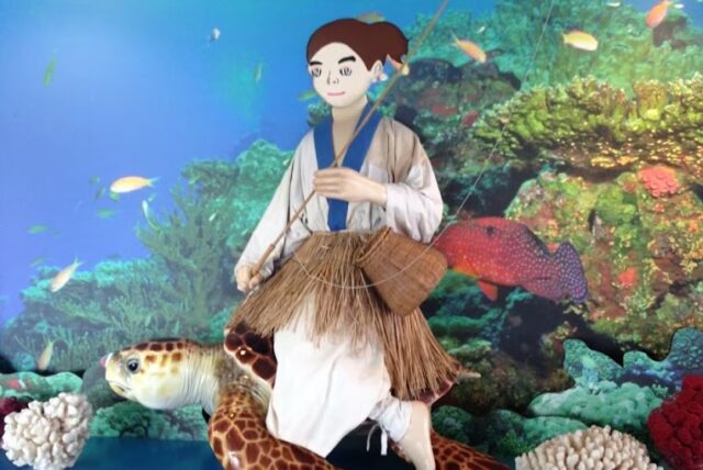 久米島ウミガメ館の楽しみ方完全ガイド！ウミガメふれあい&学びの旅