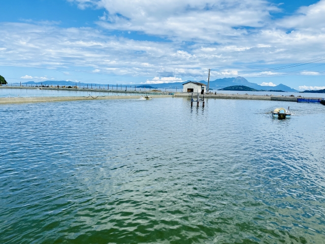 久米島の車海老養殖場の景観