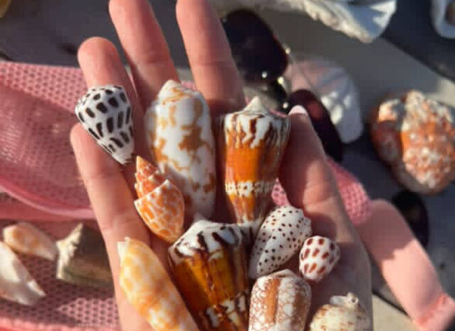 久米島　シュノーケリング