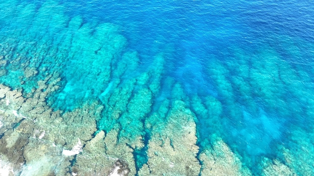 久米島リーフ