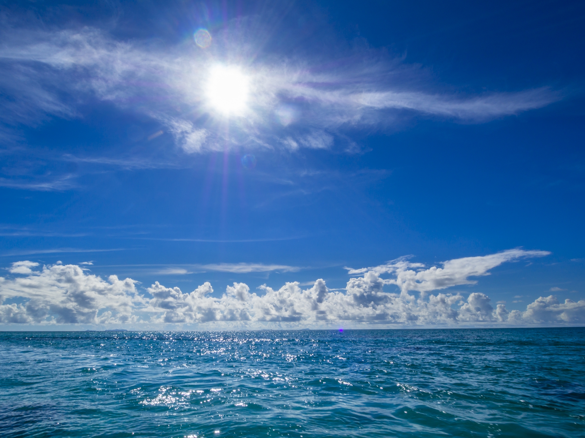 海